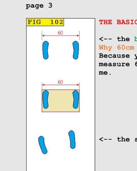 The basic inside stance, from chapter 11